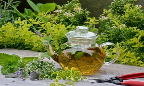 1 81516 original jpg jpeg