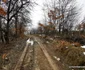 Satul Muncelu Mic din Hunedoara Foto Daniel Guță ADEVĂRUL (119) jpg
