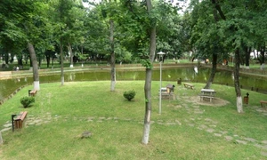 roman parc municipal 3 640x360 jpg