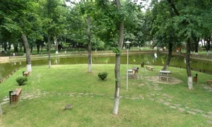 roman parc municipal 3 640x360 jpg