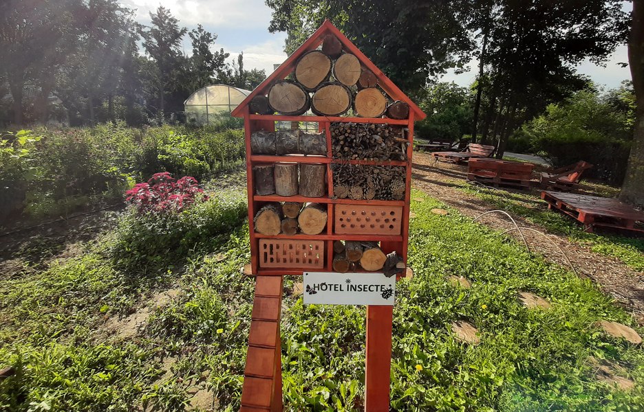 Cum arată un hotel de insecte. Se află în cadrul unei microferme de legume și fructe de la Grădina Botanică Galați