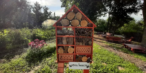 hotelinsecte (1) jpg
