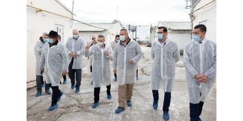 vizita premierului Ciuca la doua unitati de productie din valcea FOTO gov.ro