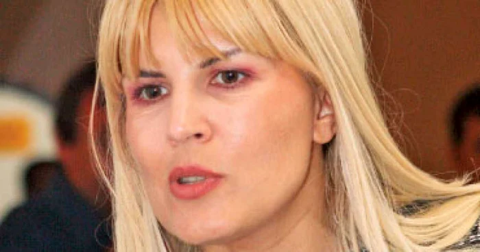 Elena Udrea, în vizorul ANI