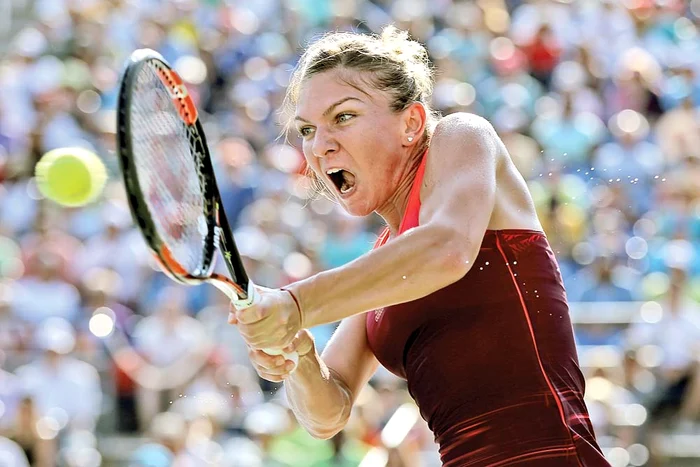 
    Simona Halep are ca  obiectiv în acest an  cucerirea unui titlu  de Grand SlamFoto: Gettyimages  