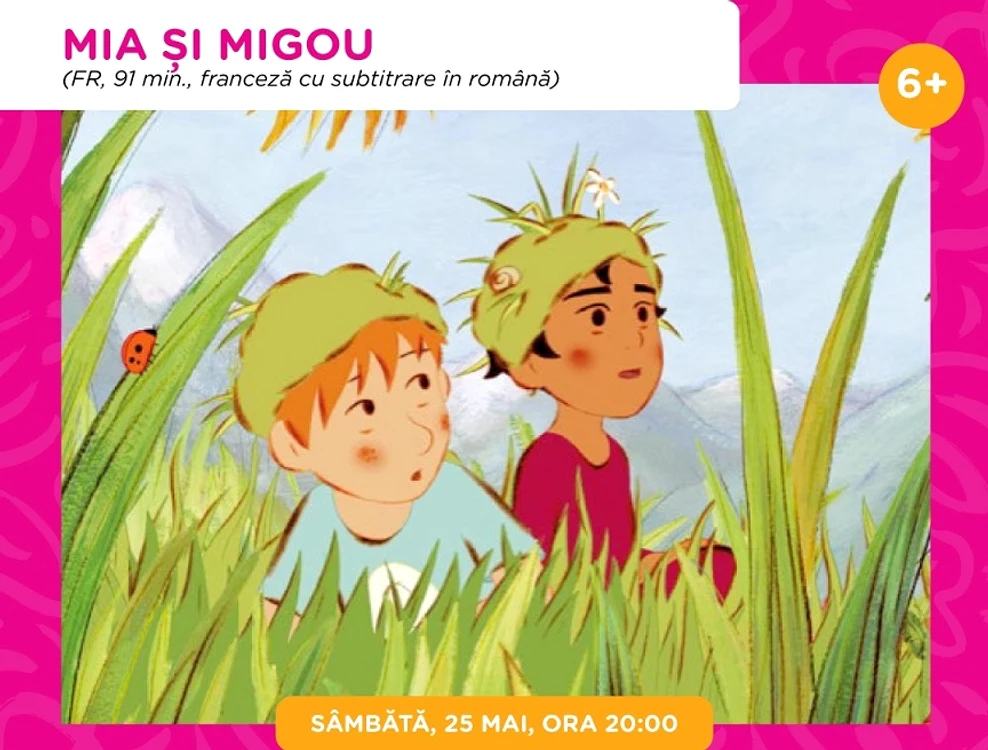 Proiecţii de film. FOTO animest.ro/amzei-animat