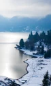 lacul colibita png