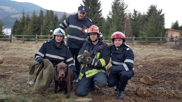 Tobby, câinele care a găsit puiul de căţel, a supravegheat de pe margine întreaga operaţiune de salvare FOTO: ISU Bistriţa