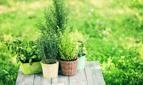 1 68717 original jpg jpeg