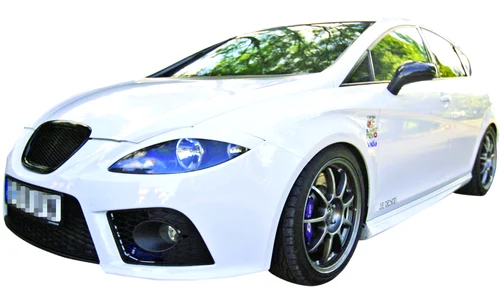 Cupra lui Nicu face  45 000 de euro jpeg