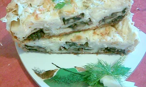 CLIIMA20120315 0055 1 jpeg