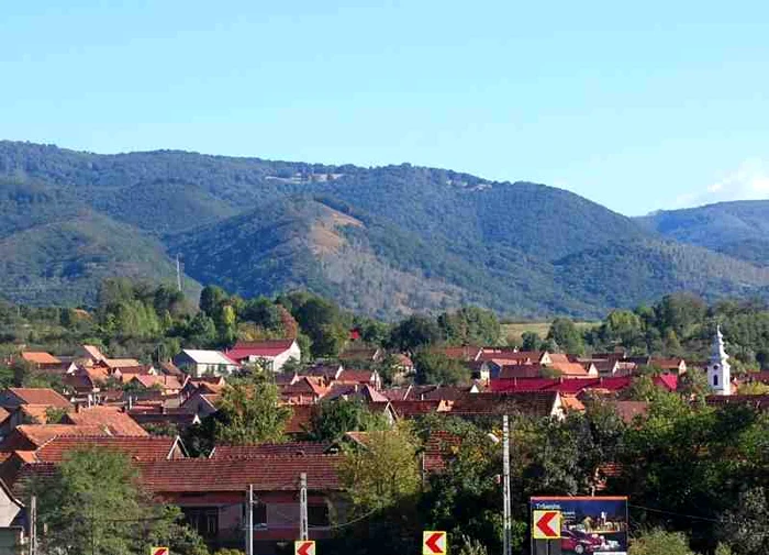 Armeniş păstrează sistematizarea din timpul Austro-Ungariei, cu străzi drepte şi largi