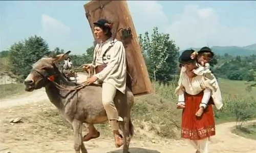 14377709 1040399706072501 5193241169057255212 n jpeg