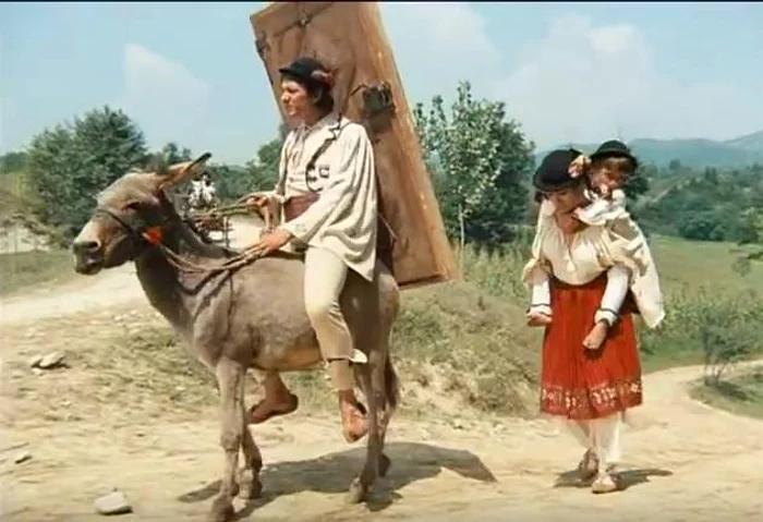 14377709 1040399706072501 5193241169057255212 n jpeg