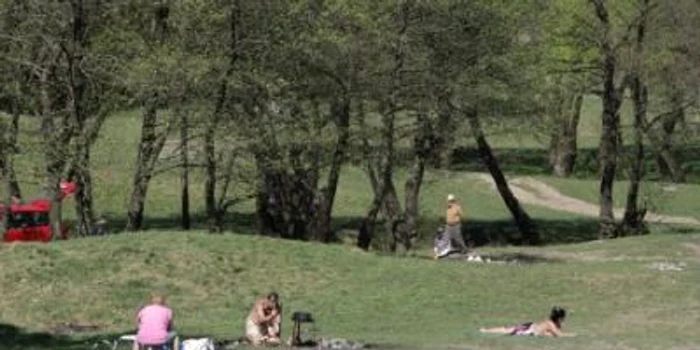 Cluj: Parcuri în pădure la Hoia şi Făget