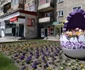 Municipiul Vulcan din Hunedoara Foto Daniel Guță ADEVĂRUL (131) JPG