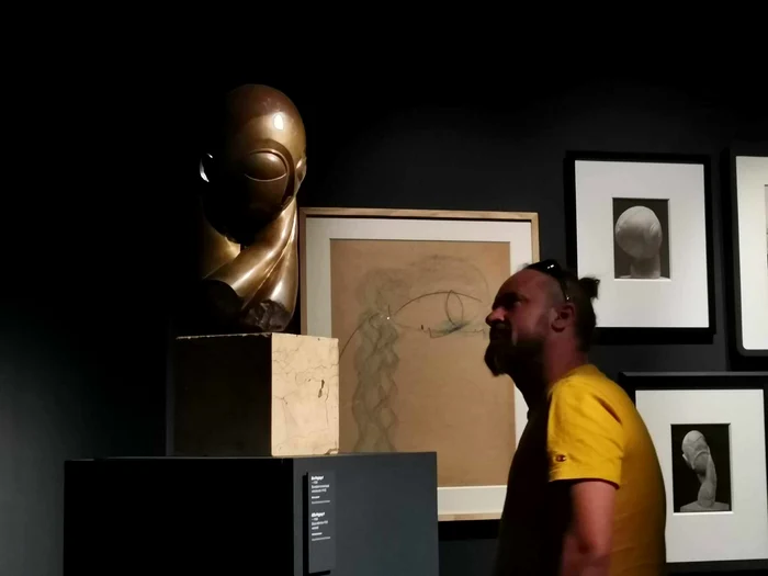 Expoziția Brâncuși de la Timișoara FOTO Ștefan Both