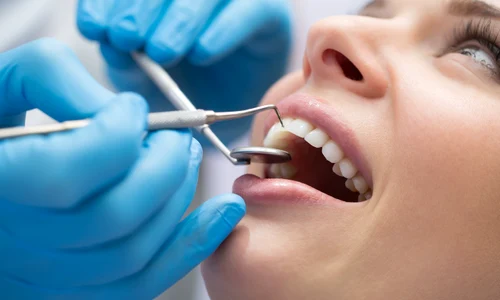 shutterstock 364820018 jpg