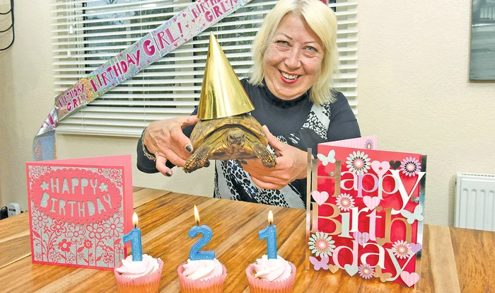 
    Stăpâna Sheila Floris  a aprins lumânări de  ziua lui Tommy   