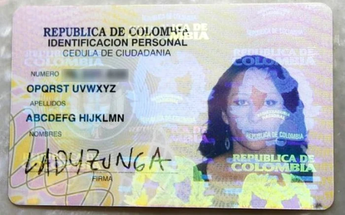 Noul nume al femeii, anterior numită Ladyzuga Cyborg, este „Abcdefg Hijklmn Opqrst Uvwxyz”. FOTO Oddity Central