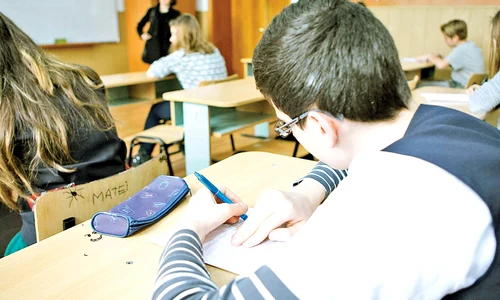 Puştii n au făcut  faţă examenului  jpeg