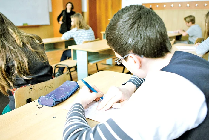 Puştii n-au făcut faţă examenului