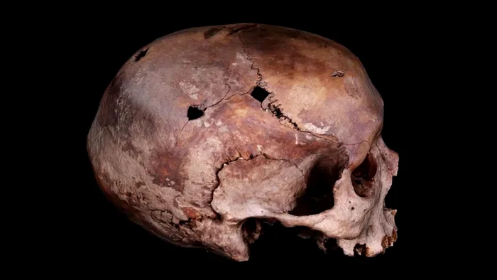 Unul dintre craniile cu găuri pătrate misterioase (© Patrick Randolph-Quinney)