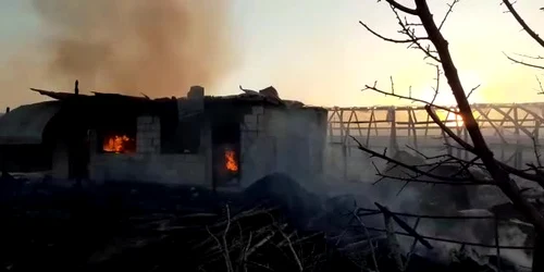 623b50cd5163ec4271928cc8 jpg