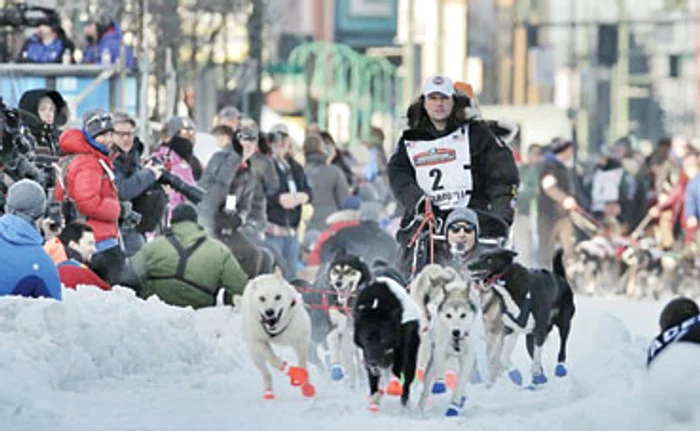 Cursa de sănii are loc în fiecare an din 1973 