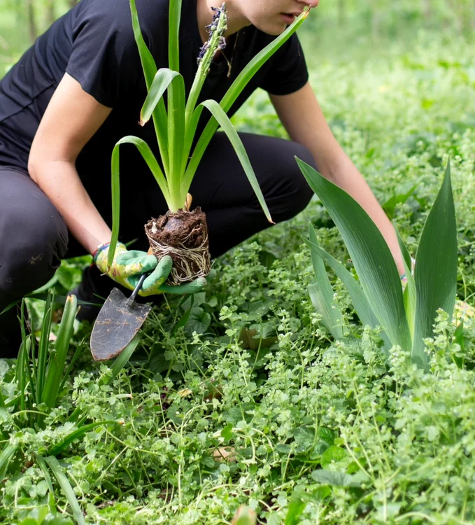 Dialogul cu ALPAB a adus grădinărit mai blând: fără suflante, cosiri rare. FOTO: Facebook