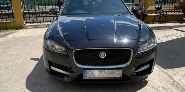 jaguar