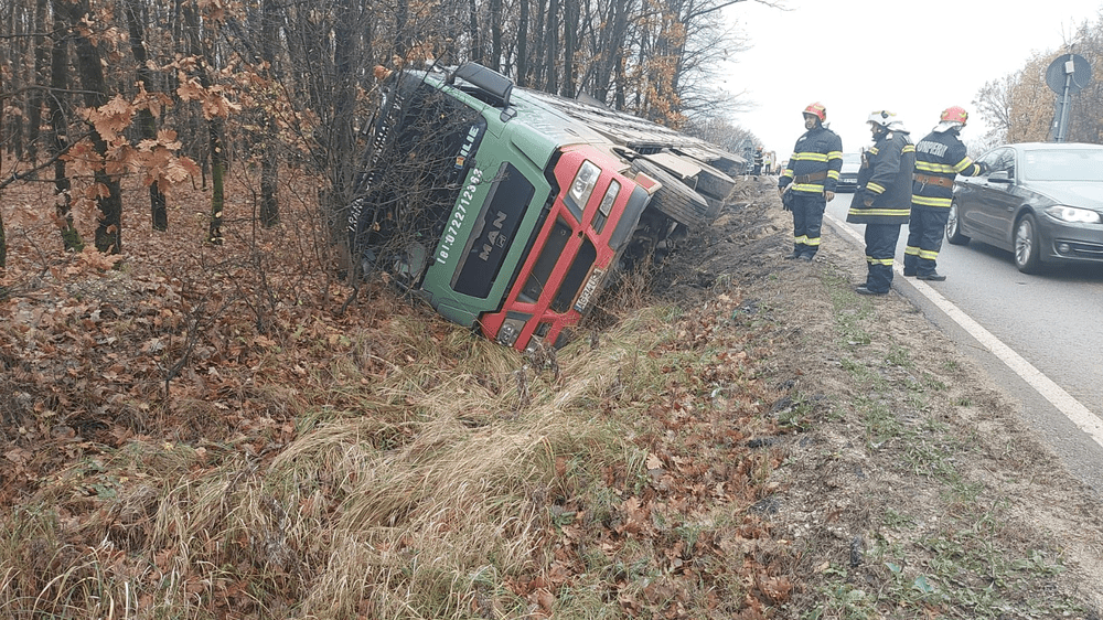 TIR încărcat cu porci, răsturnat pe DN65, în Olt. 33 de animale au murit VIDEO