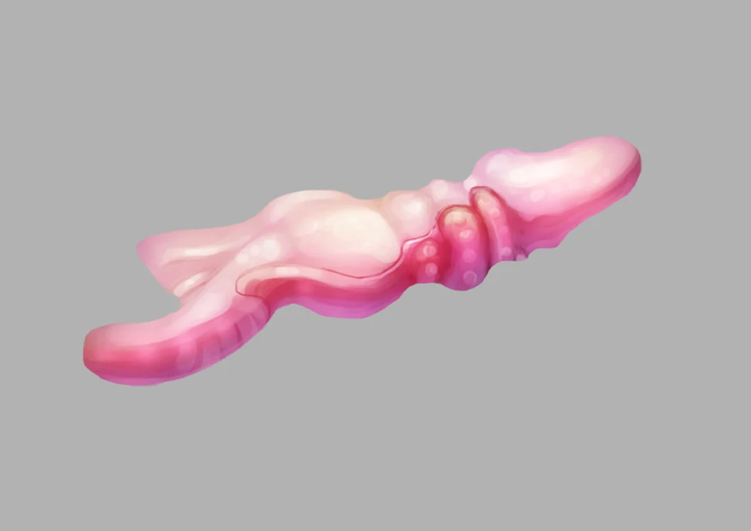 Vibratorul viitorului: Facilitează stimularea clitorisului şi poate fi unul dintre cele mai ciudate vibratoare