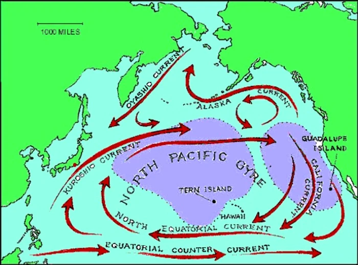 north pacific current jpg jpeg