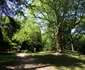 Parcul dendrologic Simeria Foto Daniel Guță ADEVĂRUL (30) JPG