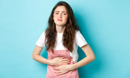 shutterstock 2066069297 jpg