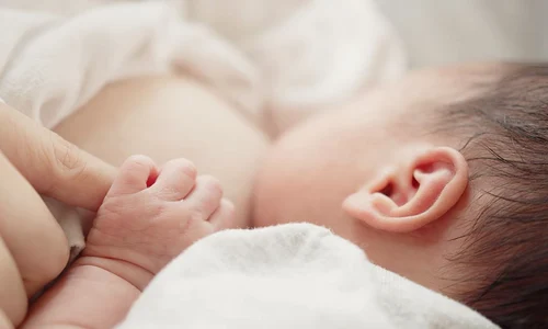 shutterstock 2153657469 jpg