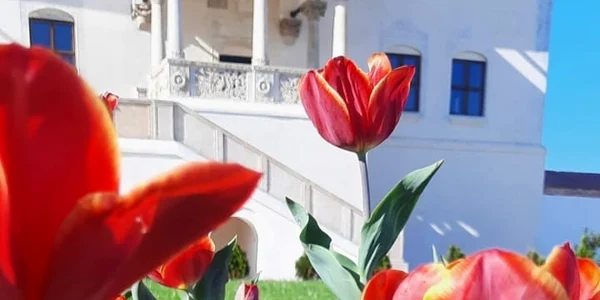 Curtea domnească - POTLOGI-Dâmbovița. FOTO Facebook