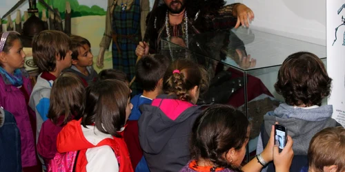 muzeu istorie baia mare