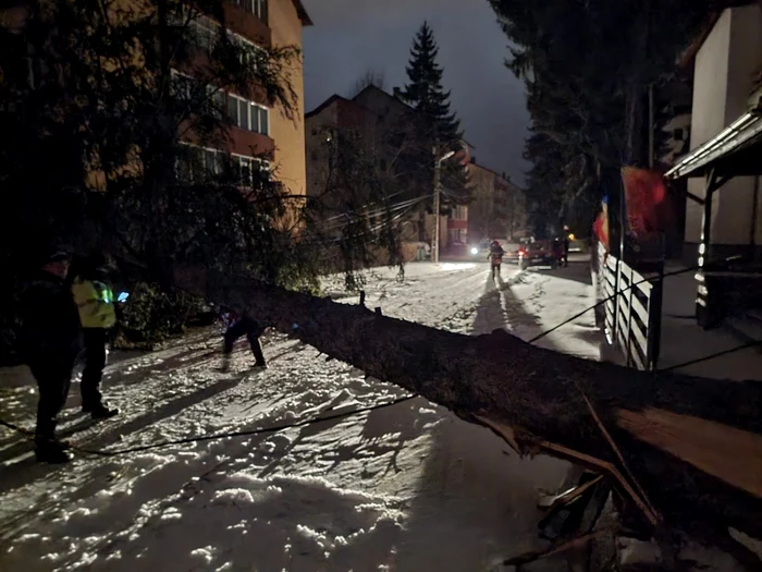 Bradul a distrus reţeaua electrică FOTO Facebook/Mircea Corbu