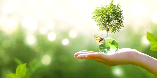 ziua pamantului foto shutterstock