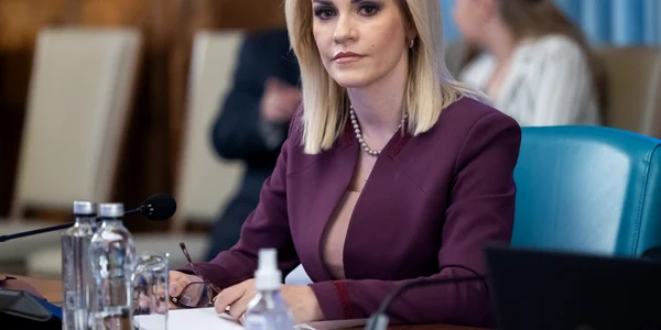 Gabriela Firea FOTO gov.ro