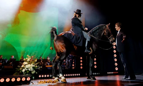 Mihai Bendeac la gala Florin Piersic. FOTO Facebook