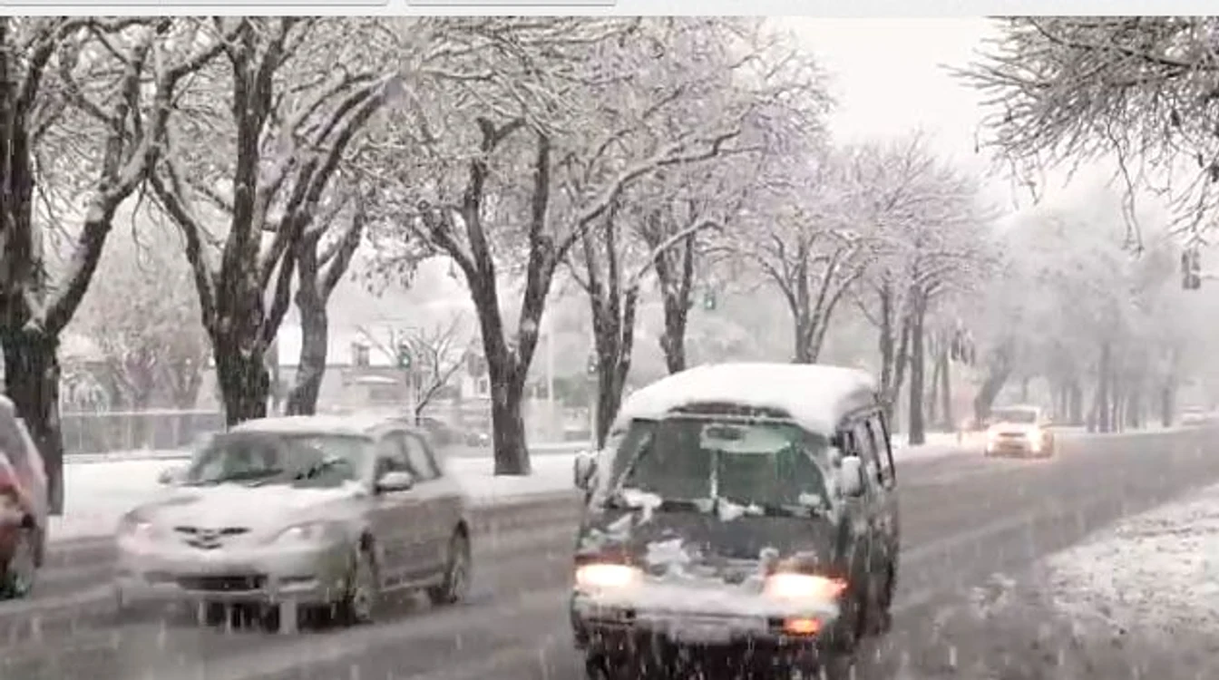 Captură video