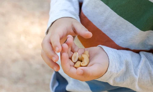 alergie alimentara copil jpg