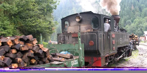 Bărbatul transporta lemne. Foto arhivă