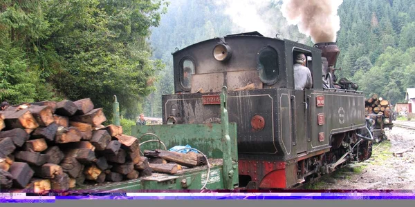 Bărbatul transporta lemne. Foto arhivă