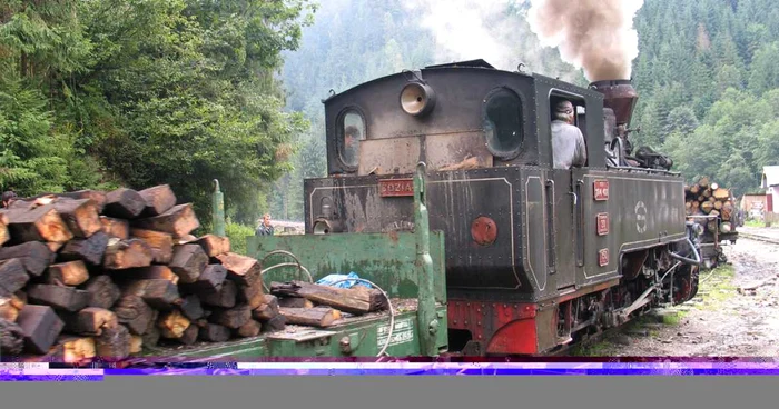 Bărbatul transporta lemne. Foto arhivă