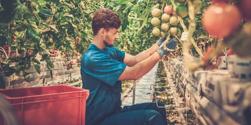 Tanar agricultura FOTO Shutterstock