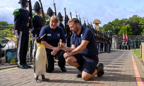 sir nils olav profimedia jpg
